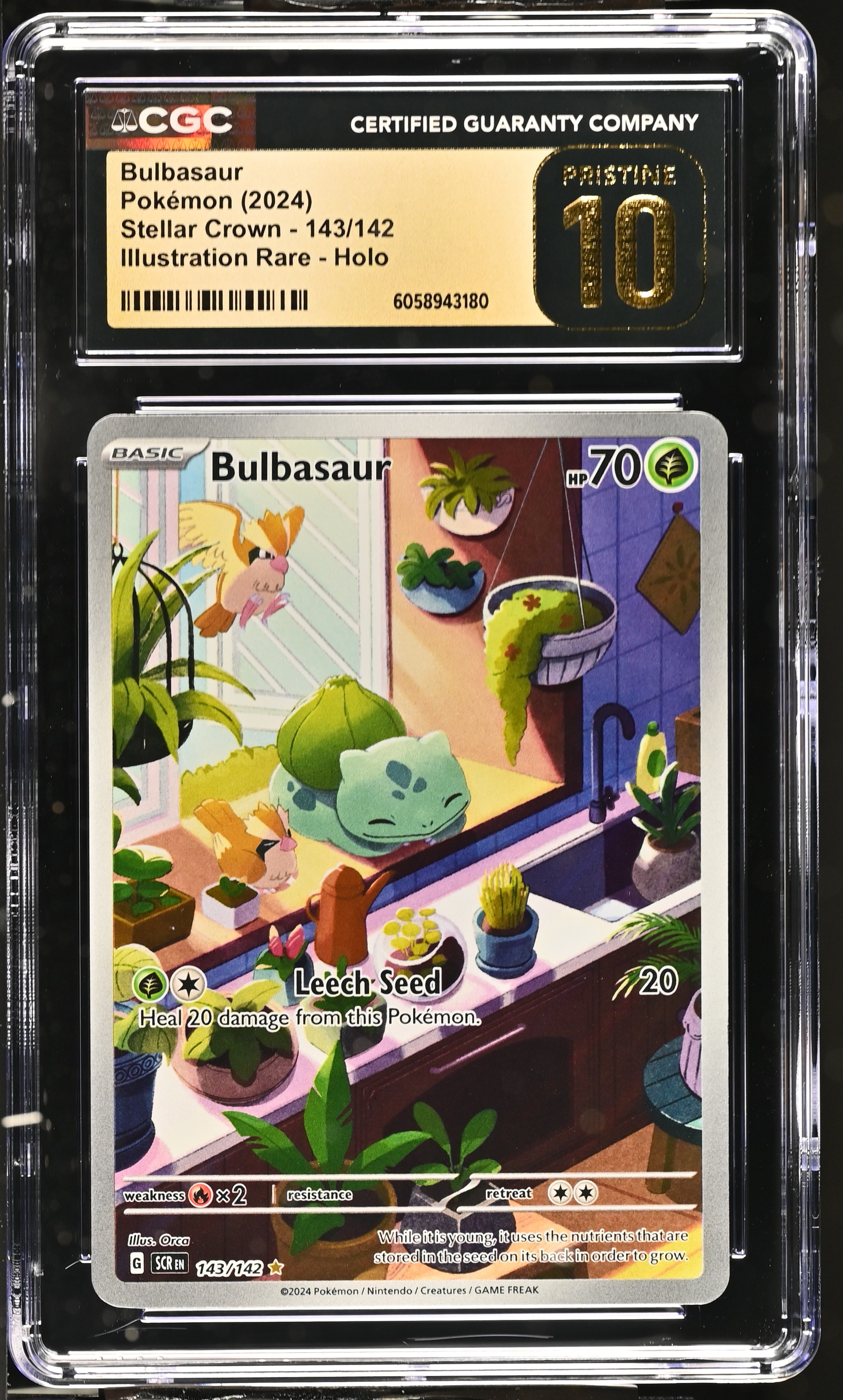 2024 #143 Bulbasaur CGC 10 Pristine Stellar Crown - SCR EN - English