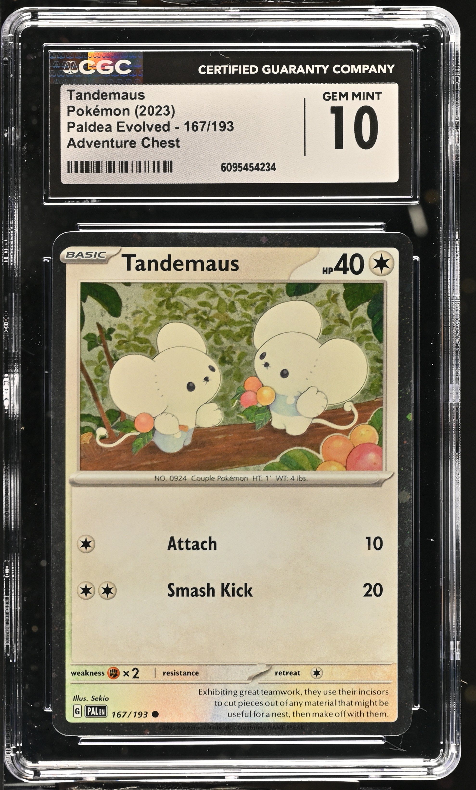 2023 #167 Tandemaus CGC 10 Paldea Evolved - PAL EN - English
