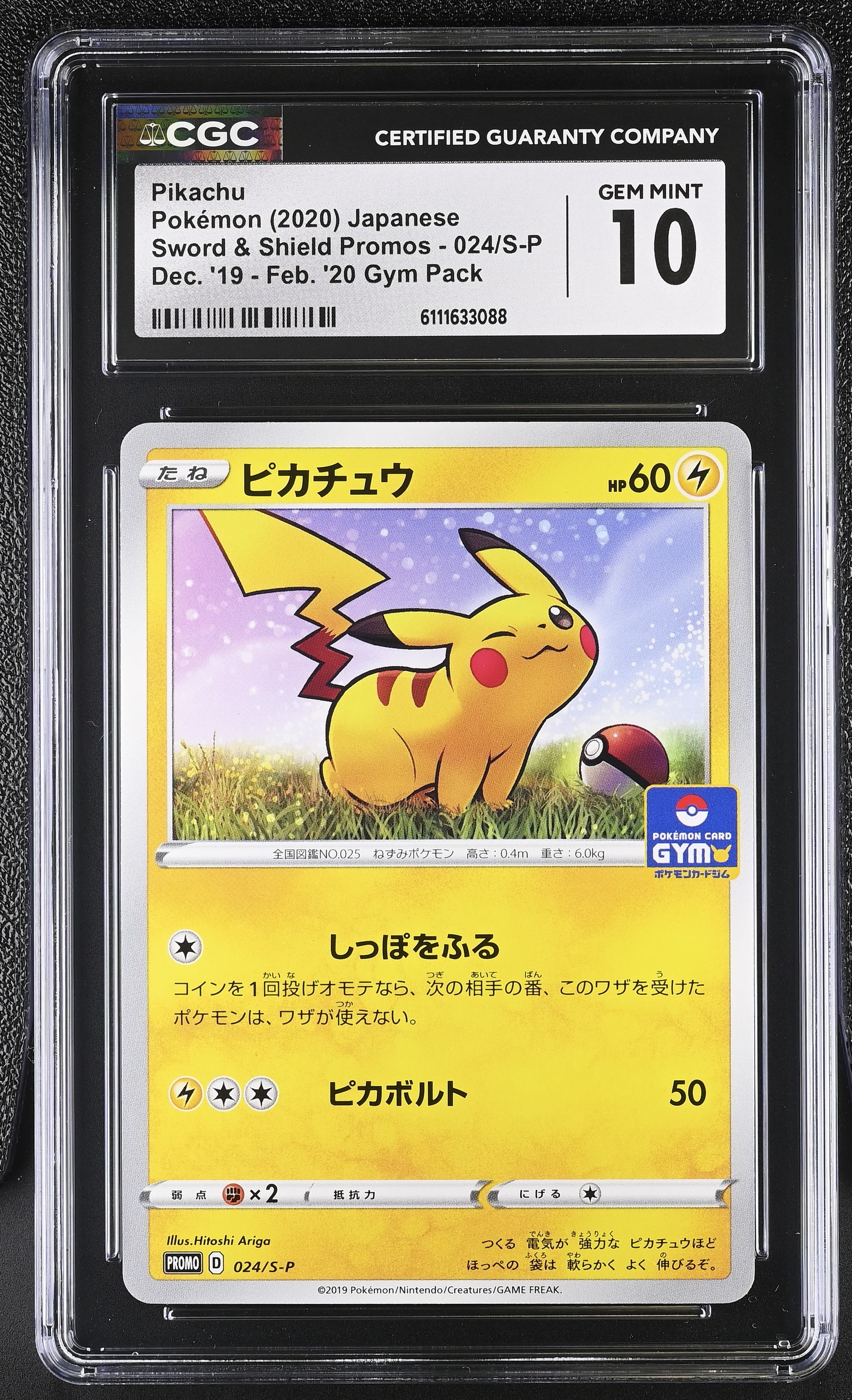 Pikachu Promo #024 - Dec. '19 - Feb. '20 Gym Pack